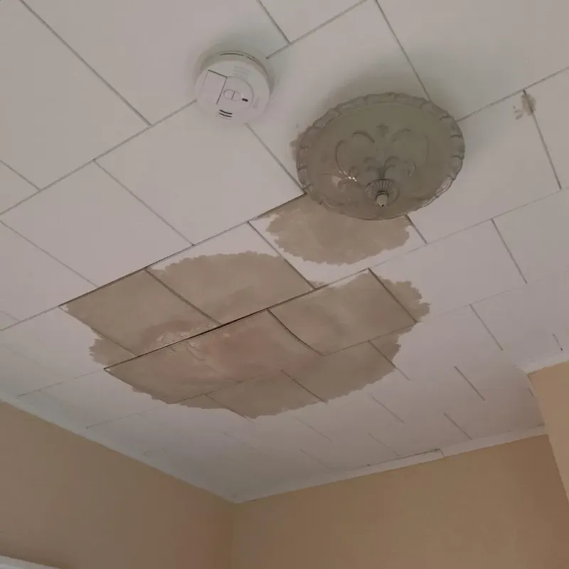 Ceiling Water Damage Repair in Burnham, PA