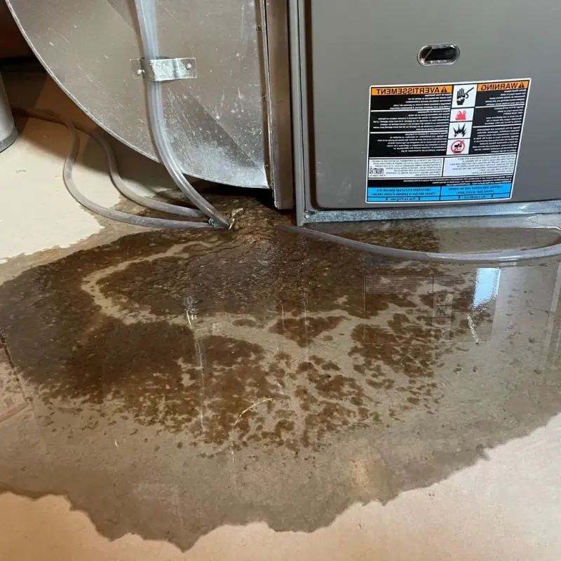 Pipe Burst and Leak Restoration in Burnham, PA
