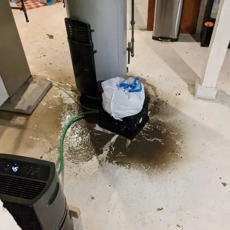 Sewage Backup Cleanup Service in Burnham, PA